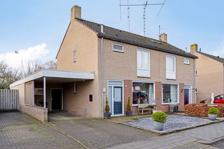 undefined main image
