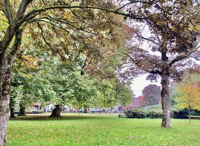 Foto 38 van Zieken 179