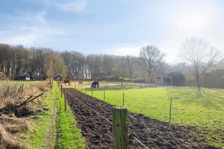 Foto 58 van Ruiterweg 67