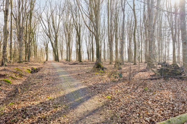 Foto 59 van Ruiterweg 67