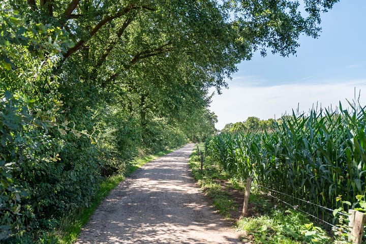 Foto 43 van Hagenbosch 12