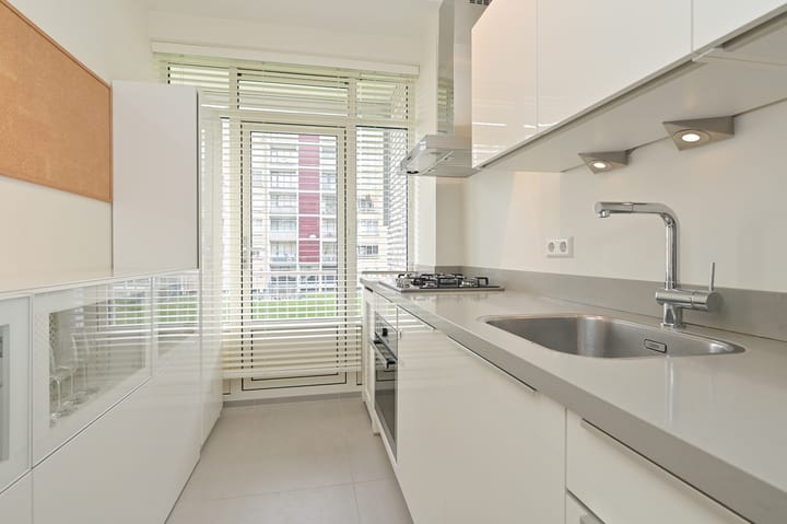 Foto 14 van Van Alkemadelaan 958