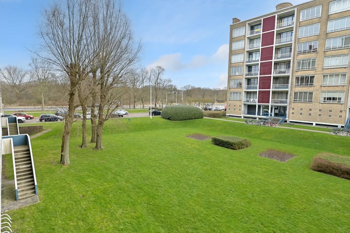 Foto 20 van Van Alkemadelaan 958