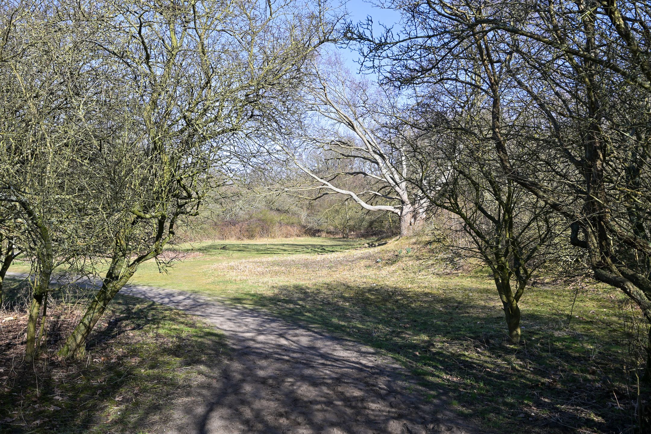 Foto 33 van Van Alkemadelaan 958