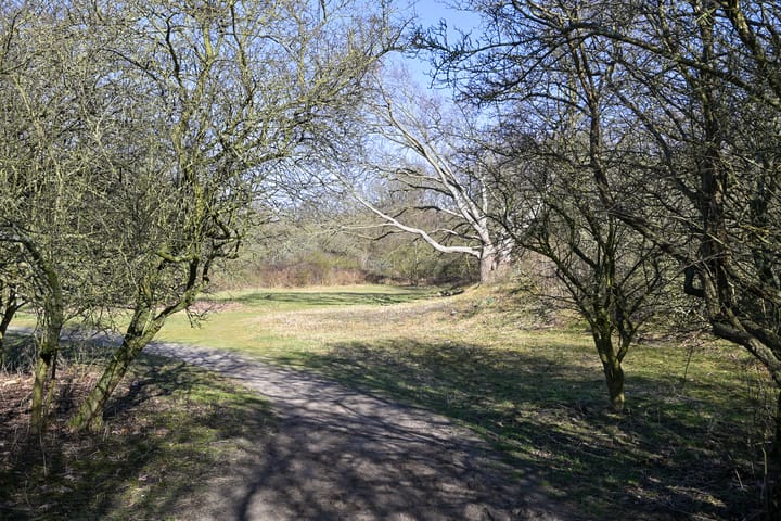 Foto 33 van Van Alkemadelaan 958