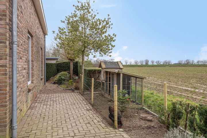 Foto 41 van den Bogerd 31