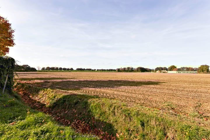 Foto 50 van den Bogerd 31