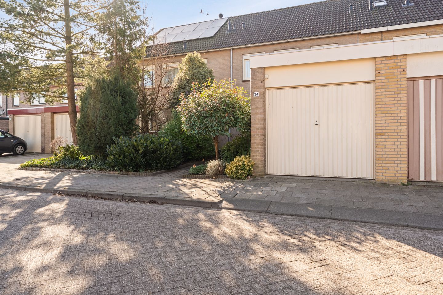 Foto 4 van Tormentil 34