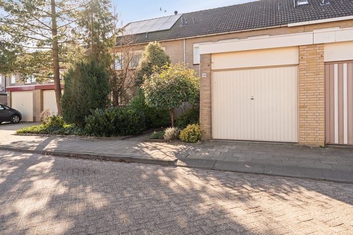 Foto 4 van Tormentil 34