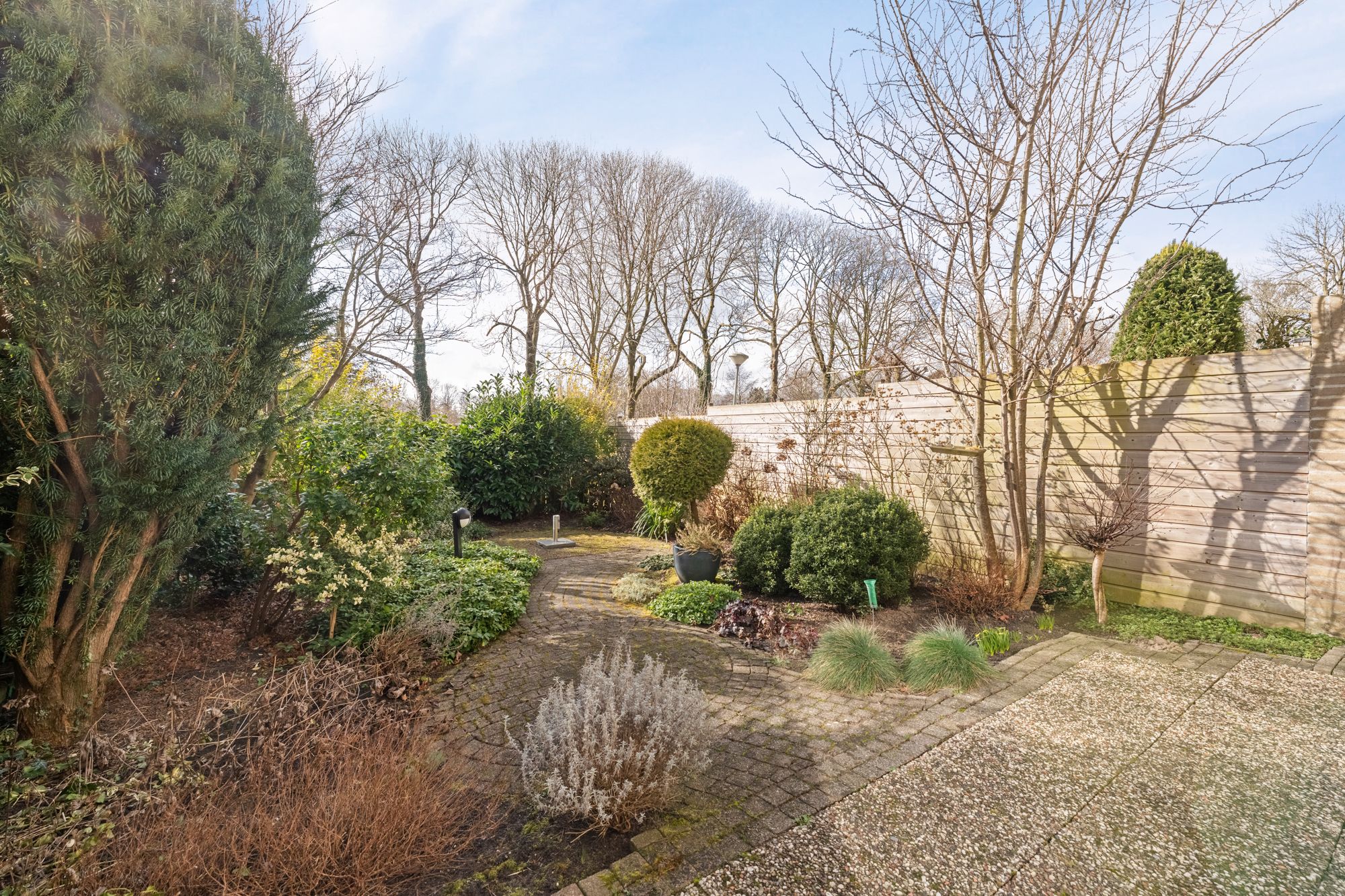 Foto 18 van Tormentil 34