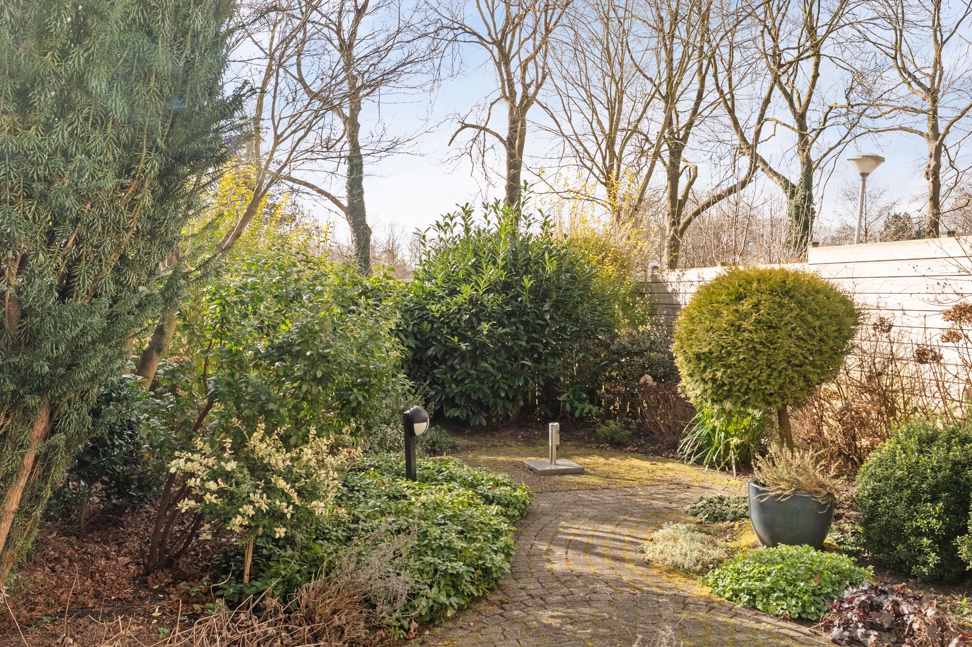 Foto 21 van Tormentil 34