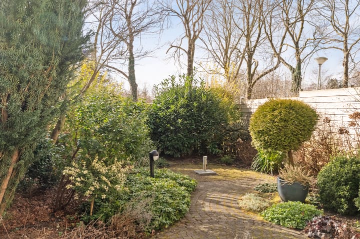 Foto 21 van Tormentil 34