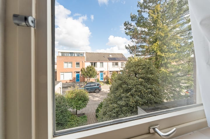 Foto 33 van Tormentil 34