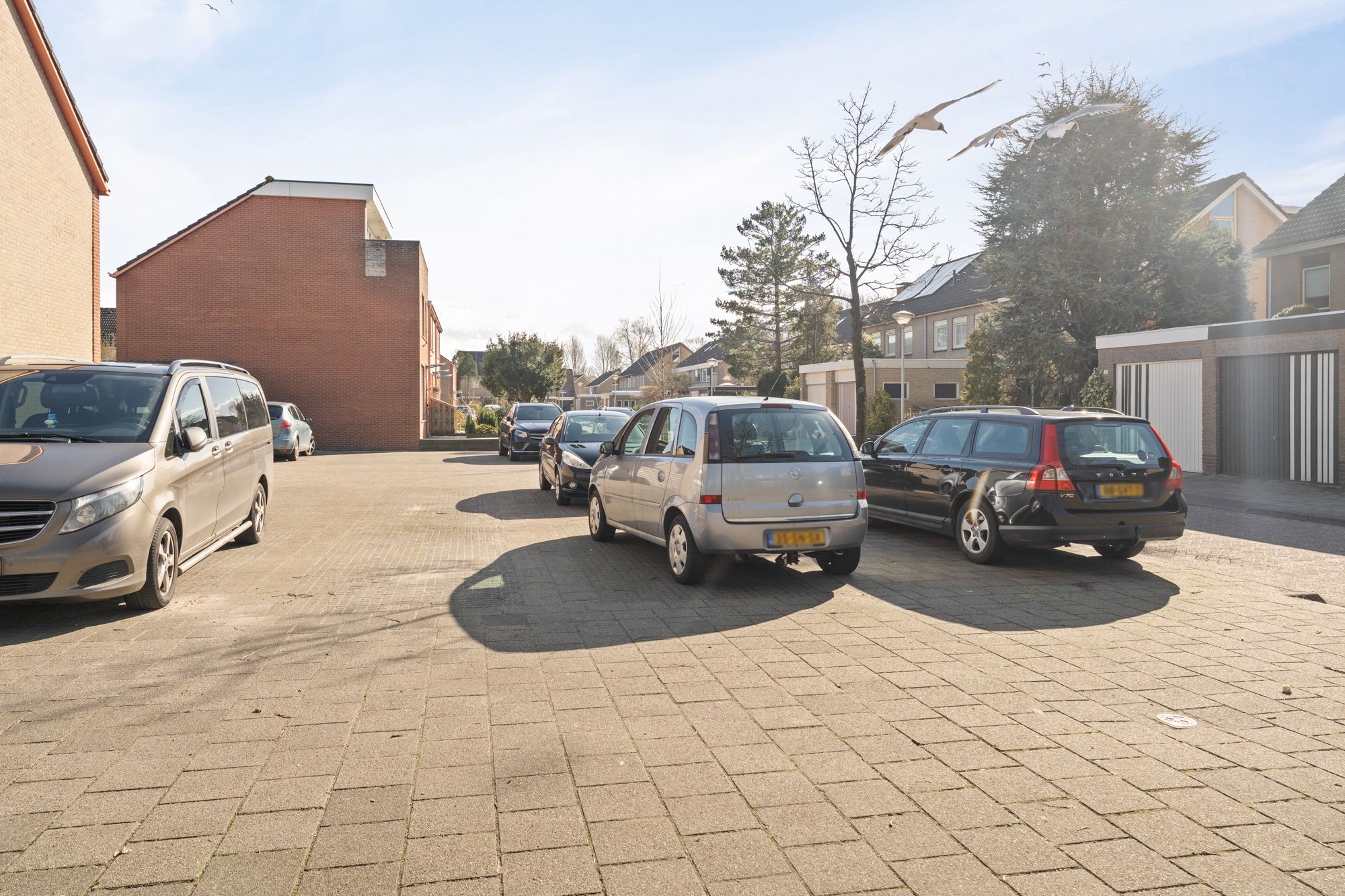 Foto 48 van Tormentil 34