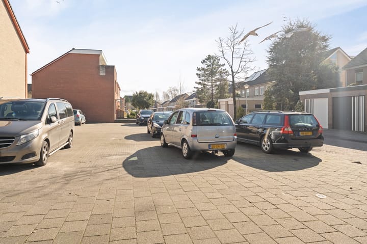 Foto 48 van Tormentil 34