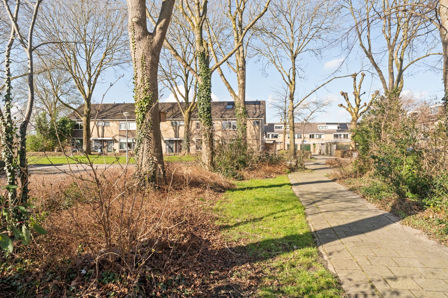 Foto 50 van Tormentil 34