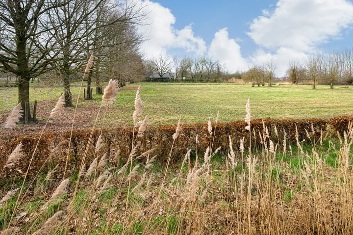 Foto 38 van De Schild 35