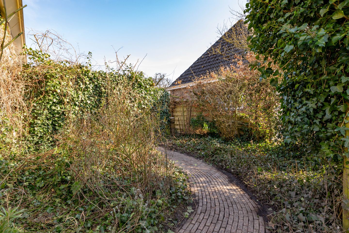 Foto 50 van Bovenboer 29