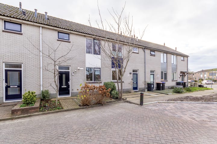 Foto 2 van Kruiszwin 5005