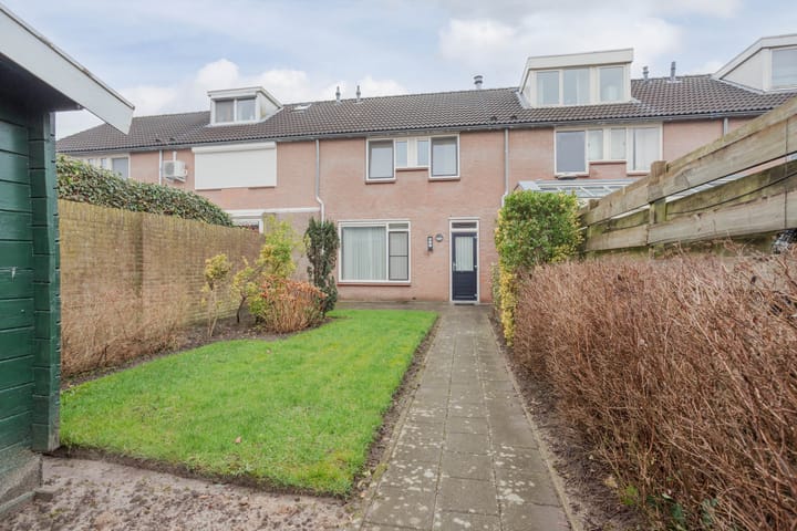 Foto 5 van Meerkoetpad 6