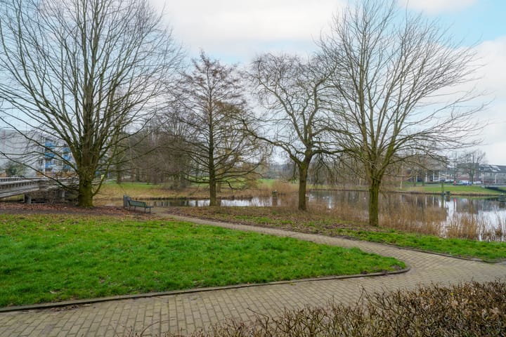 Foto 36 van Louis Davidsstraat 156