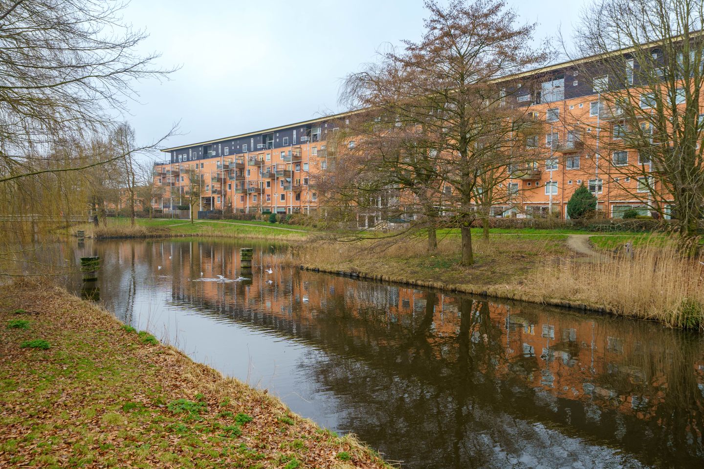 Foto 44 van Louis Davidsstraat 156