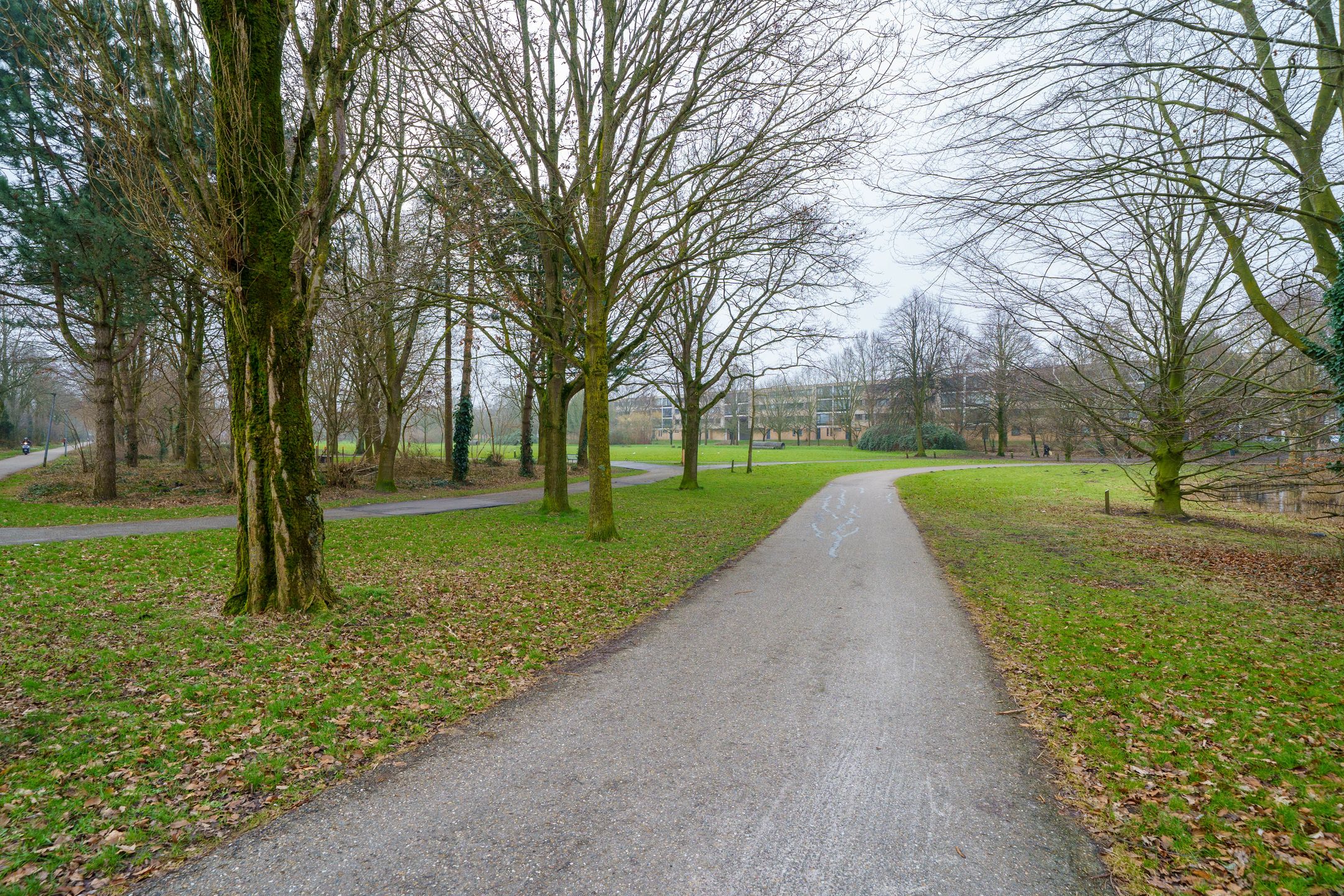 Foto 48 van Louis Davidsstraat 156