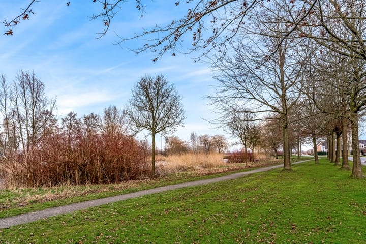 Foto 36 van Lijnbaan 12