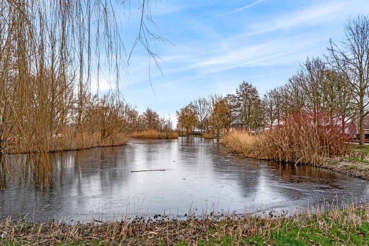 Foto 37 van Lijnbaan 12