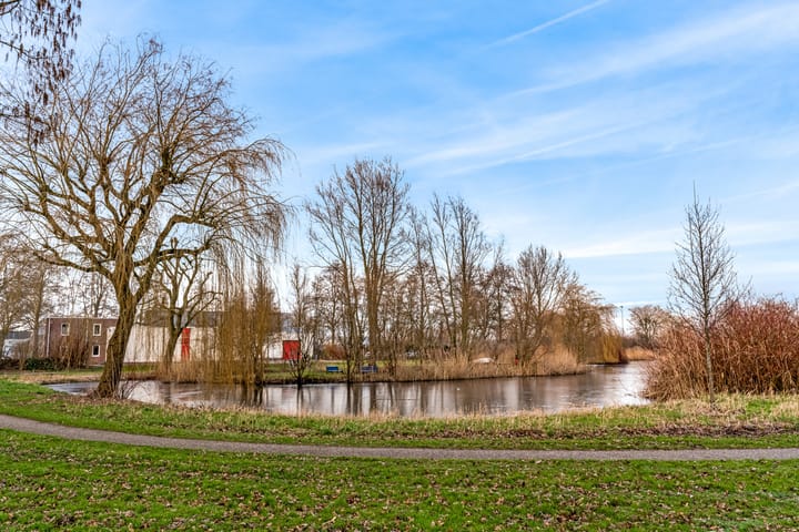 Foto 38 van Lijnbaan 12