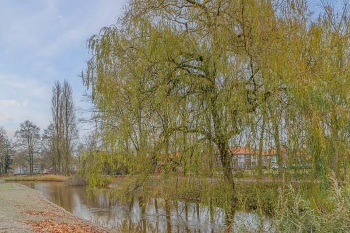 Foto 60 van Barnsteenstraat 13