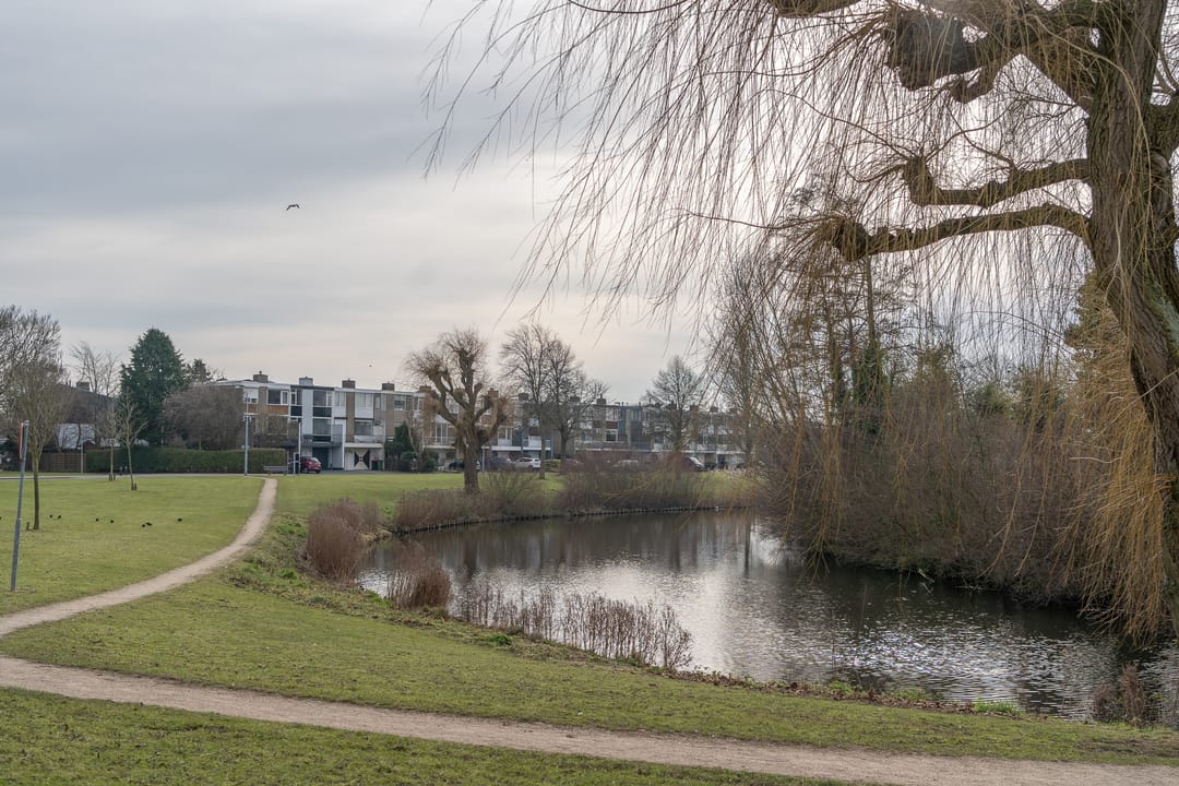 Foto 23 van Schaepmanstraat 139