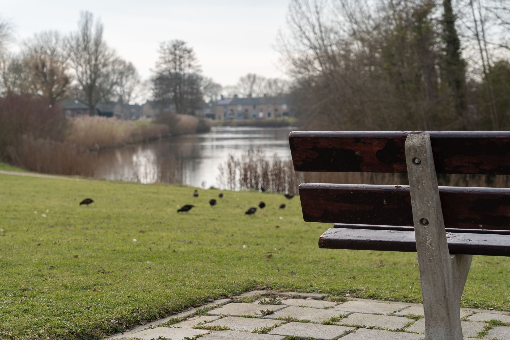 Foto 24 van Schaepmanstraat 139