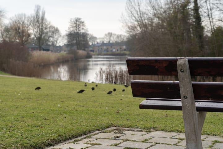 Photo 24 of Schaepmanstraat 139