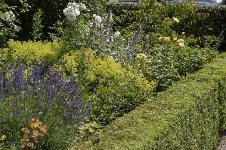 Foto 42 van Gebroeders Delhezstraat 1