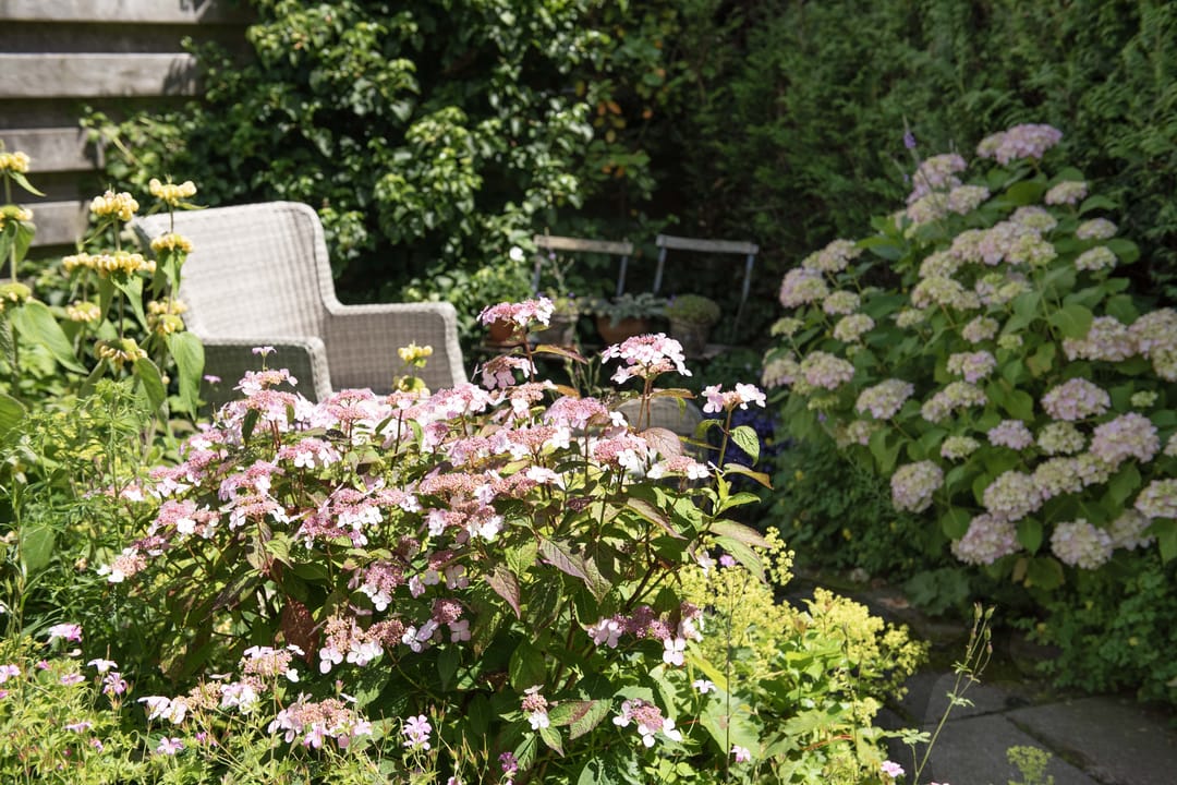 Foto 43 van Gebroeders Delhezstraat 1