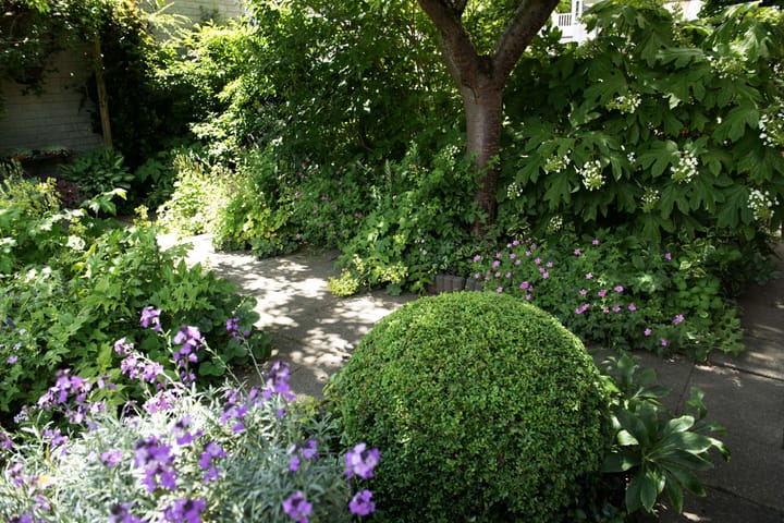 Foto 44 van Gebroeders Delhezstraat 1