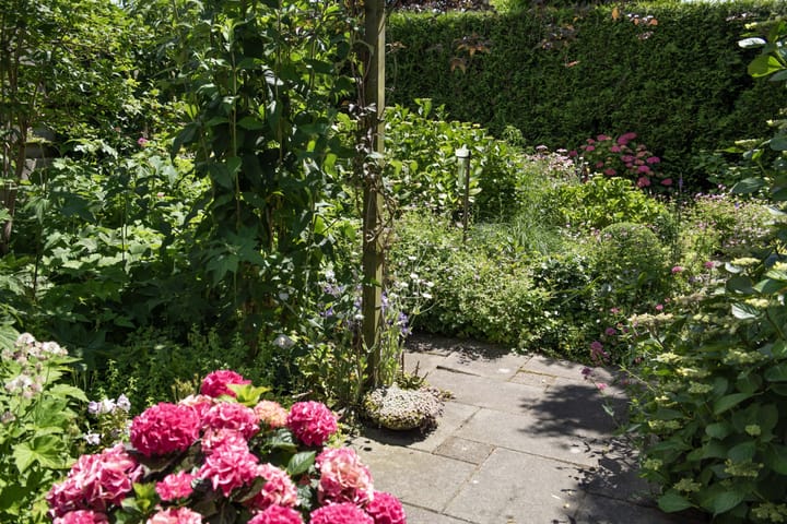 Foto 45 van Gebroeders Delhezstraat 1