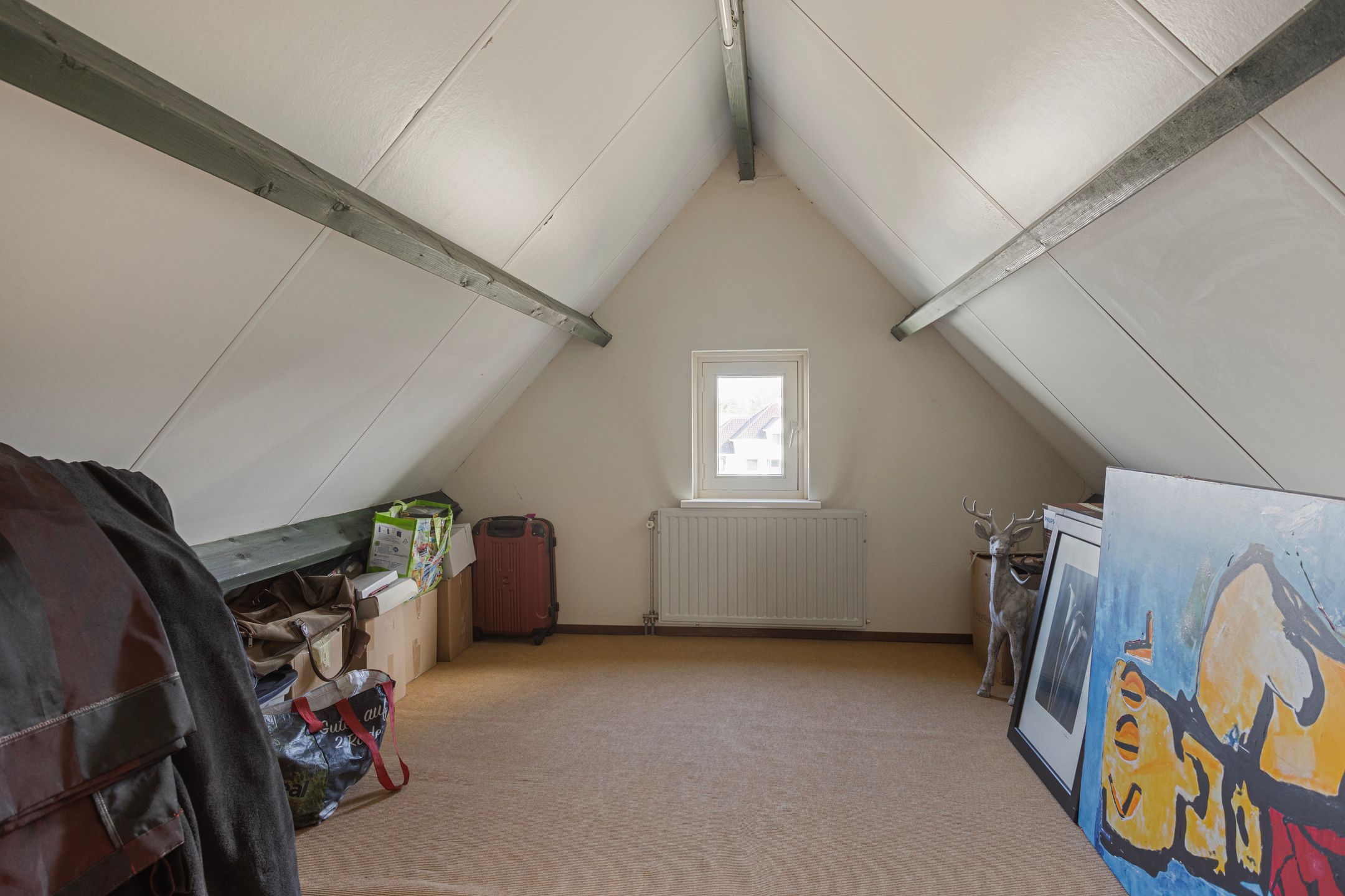 Photo 36 of Struikhei 21