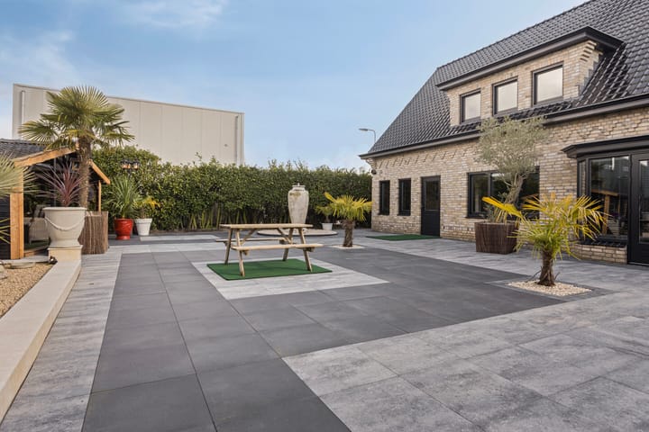 Foto 42 van Struikhei 21