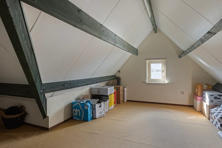 Foto 38 van Struikhei 21