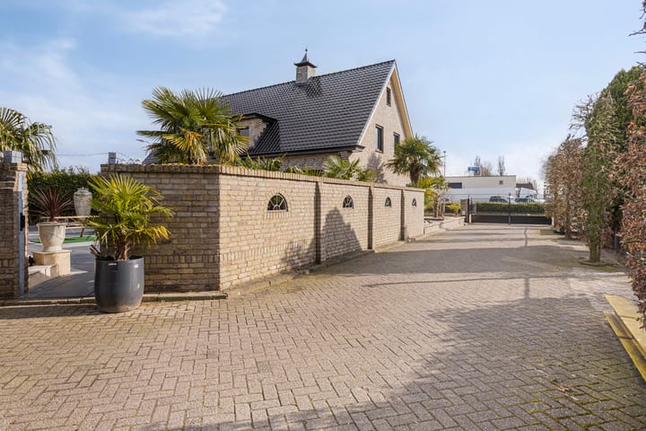 Foto 43 van Struikhei 21