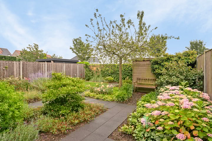 Foto 5 van Alexander de Grotestraat 9