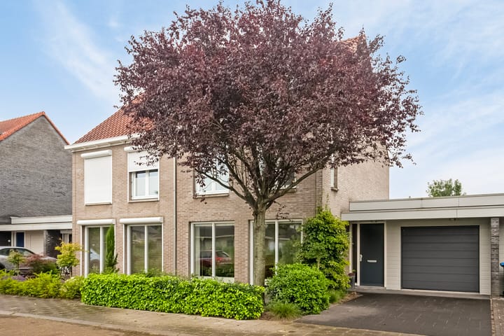 Foto 7 van Alexander de Grotestraat 9