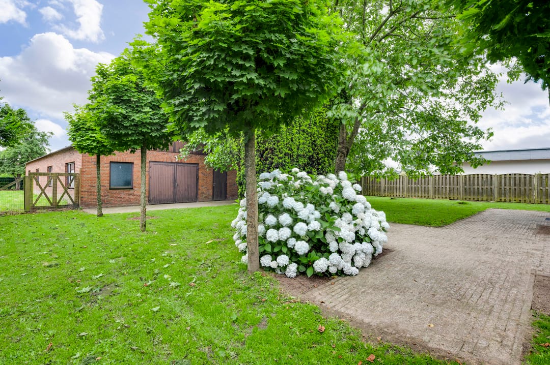 Foto 28 van Hoebensstraat 4