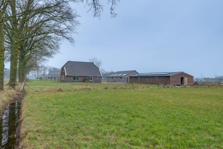 Photo 5 of Koebushorst 4