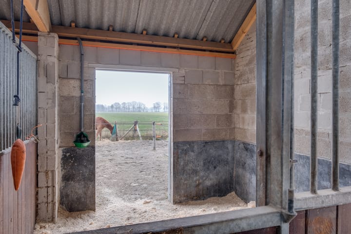 Photo 54 of Koebushorst 4