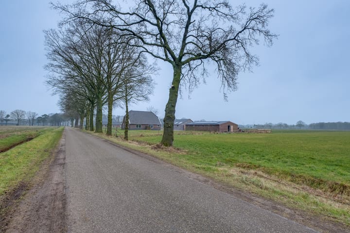 Photo 62 of Koebushorst 4