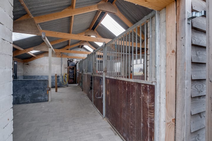 Photo 52 of Koebushorst 4