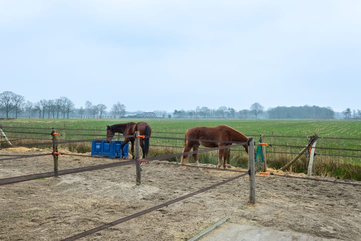 Photo 57 of Koebushorst 4